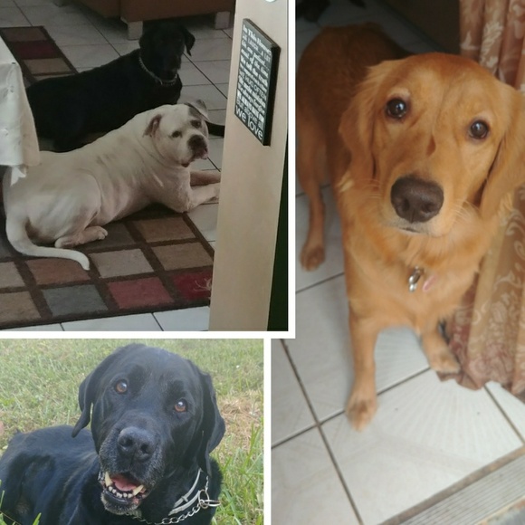 Meet your Posher, Ely - Picture 9 of 9